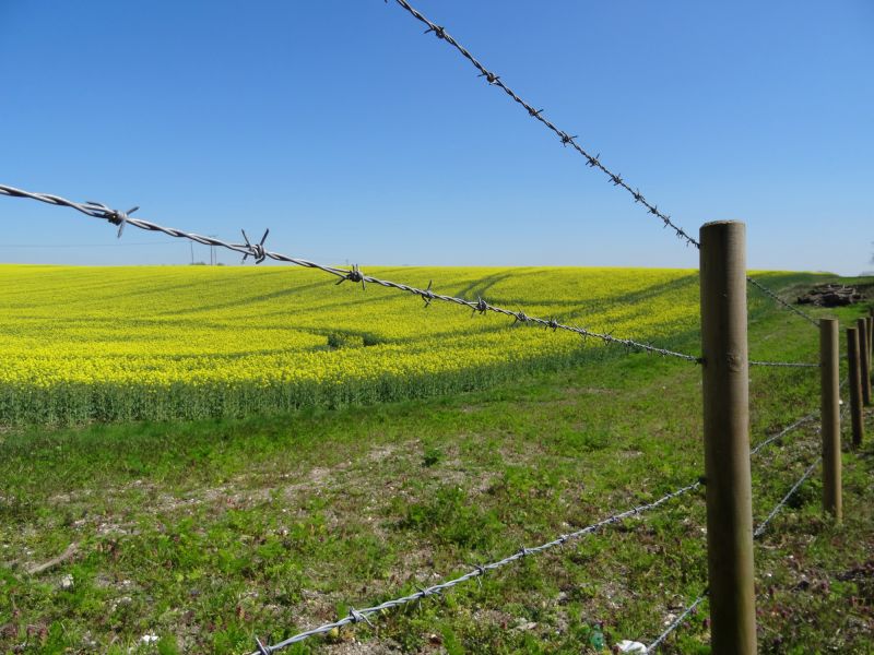 Equine Fence Installation