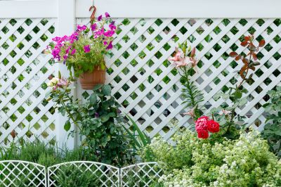 Victorian Fence Installation
